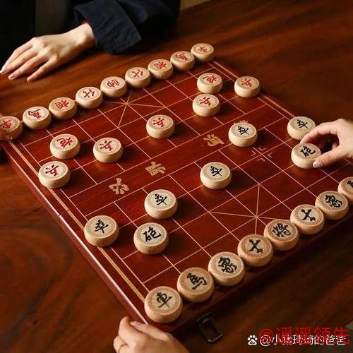 太阳城娱乐官网 那些棋坛“80后”们 知不知道自己有多“老”?